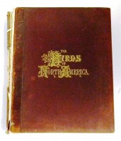 ''Birds of North America '' by