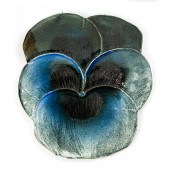 BIRGER KAIPIAINEN, PLATE Birge