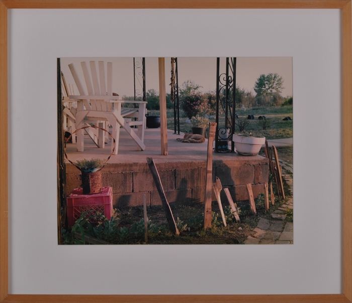BIRNEY IMES (b. 1951): FRONT YARD