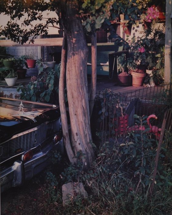BIRNEY IMES (b. 1951): FRONT YARD