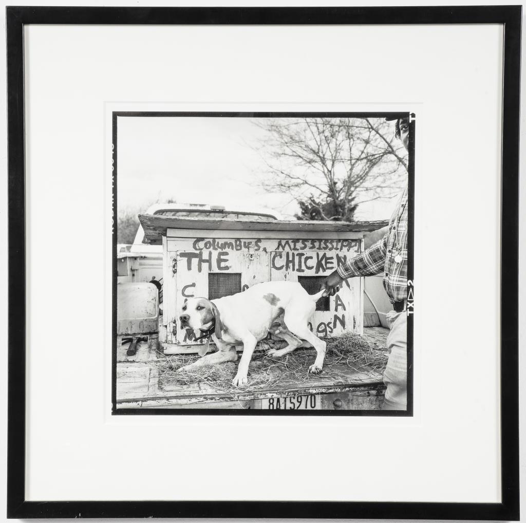BIRNEY IMES "THE CHICKENMAN'S