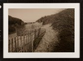 BLACK AND WHITE PHOTOGRAPHIC P