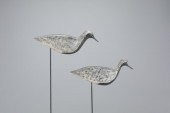 BLACK-BELLIED PLOVER FLATTIE P