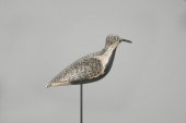 BLACK-BELLIED PLOVERDaniel Lak