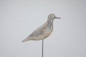 BLACK-BELLIED PLOVERObediah Ve