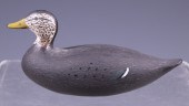 BLACK DUCK BY JOSEPH LINCOLN A