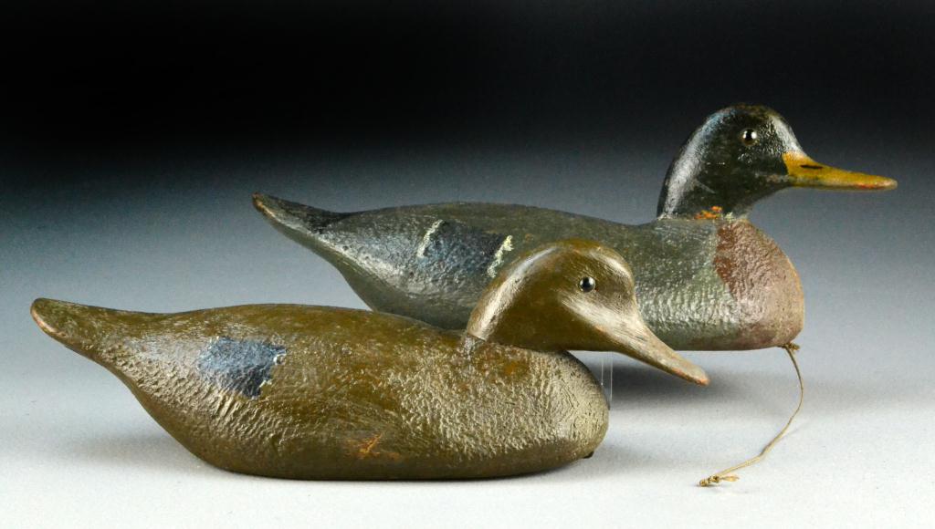 Black Duck Decoys -