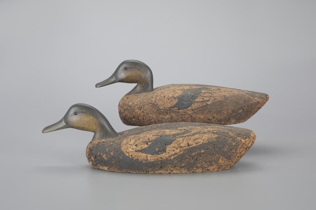 BLACK DUCK PAIRCalifornia, c.