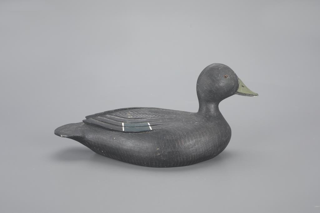 BLACK DUCKGeorges Guyon