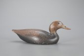 BLACK DUCKThe Ward Brothers
Le