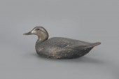 BLACK DUCKThe Ward Brothers
Le