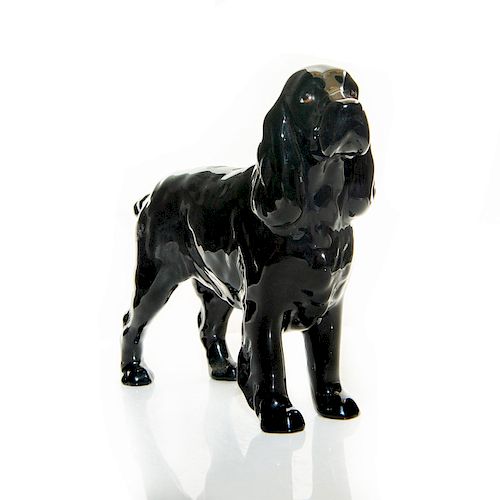 BLACK ENGLISH COCKER SPANIEL