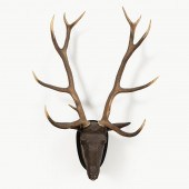 BLACK FOREST-STYLE STAG HEAD W
