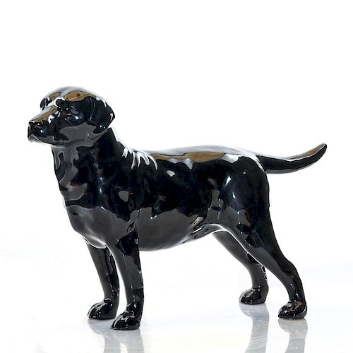 BLACK LABRADOR HN2667 - ROYAL