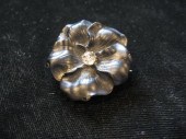 Black pansy pin    Black proce