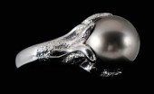 Black pearl ring, Tahitian "bl