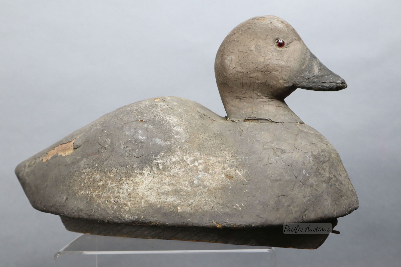 BLACK SCOTER DUCK DECOY BY