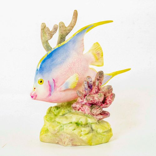 BLUE ANGEL FISH RW3574 - ROYAL
