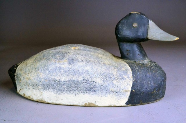 BLUE BILLED DRAKE DUCK DECOY-