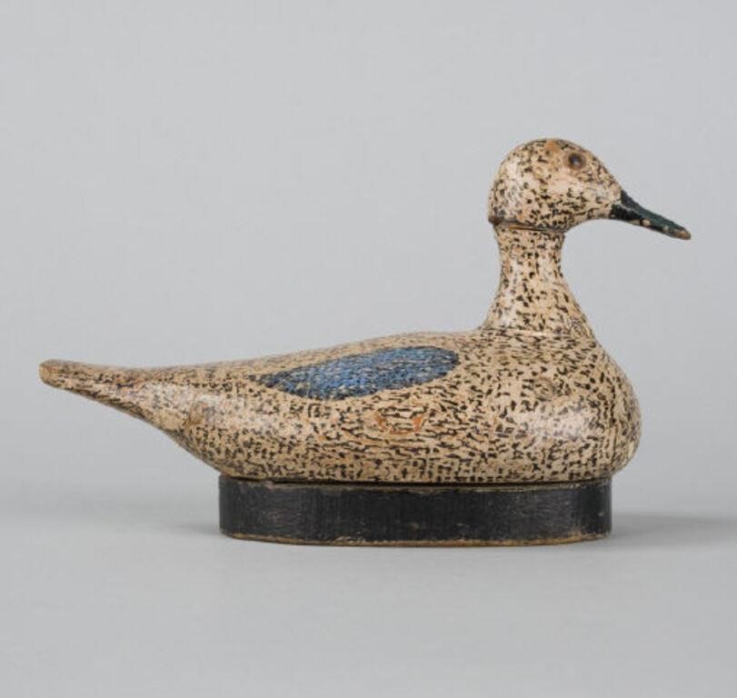 BLUE-WING TEALA Blue-wing Teal