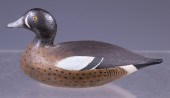 BLUE-WINGED TEAL BY JOSEPH LIN