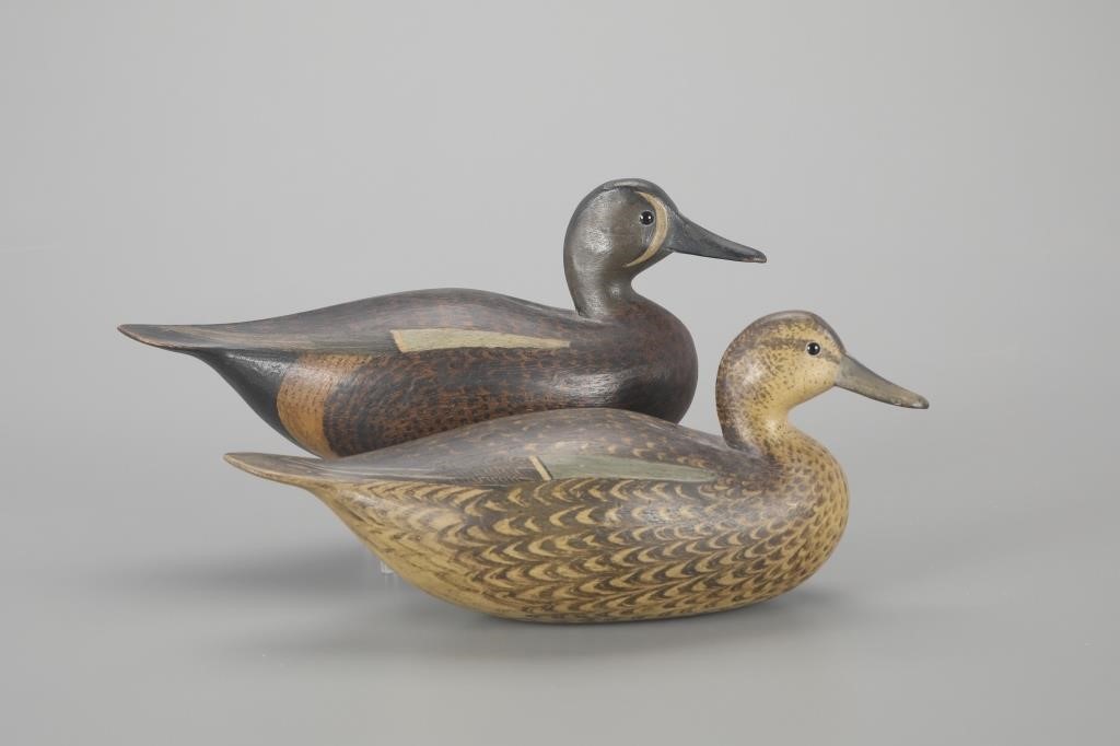 BLUE WINGED-TEAL PAIRMark S. McNair