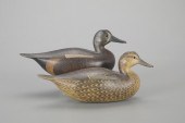 BLUE WINGED-TEAL PAIRMark S. M