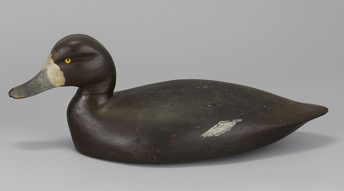 BLUEBILL HEN DECOYBy Samuel