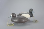 BLUEBILL PAIRDonal C. O'Brien