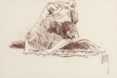 BOB KUHN (1920-2007), BEAR WIT