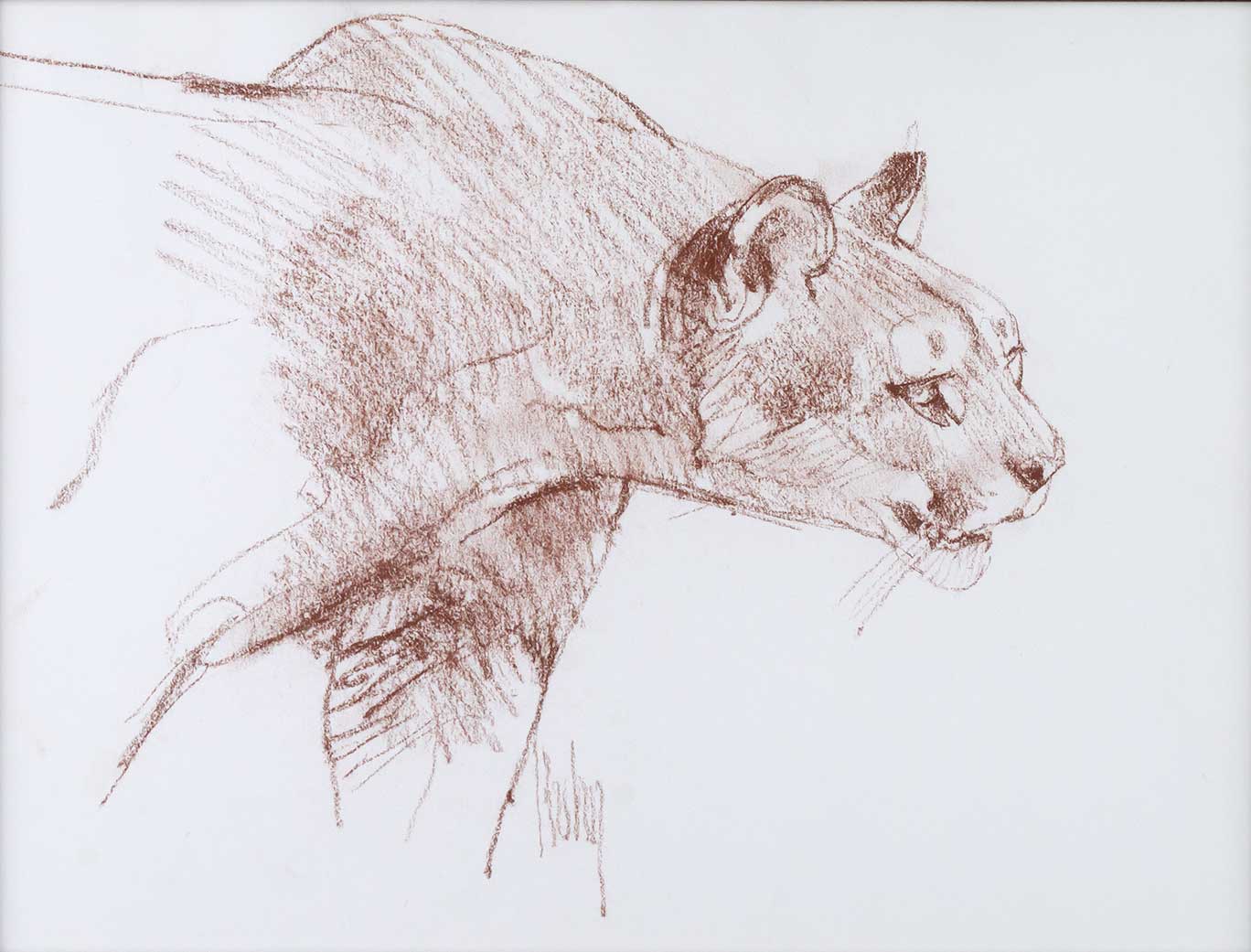 BOB KUHN (1920-2007), COUGAR Fine