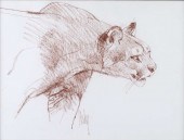 BOB KUHN (1920-2007), COUGAR F