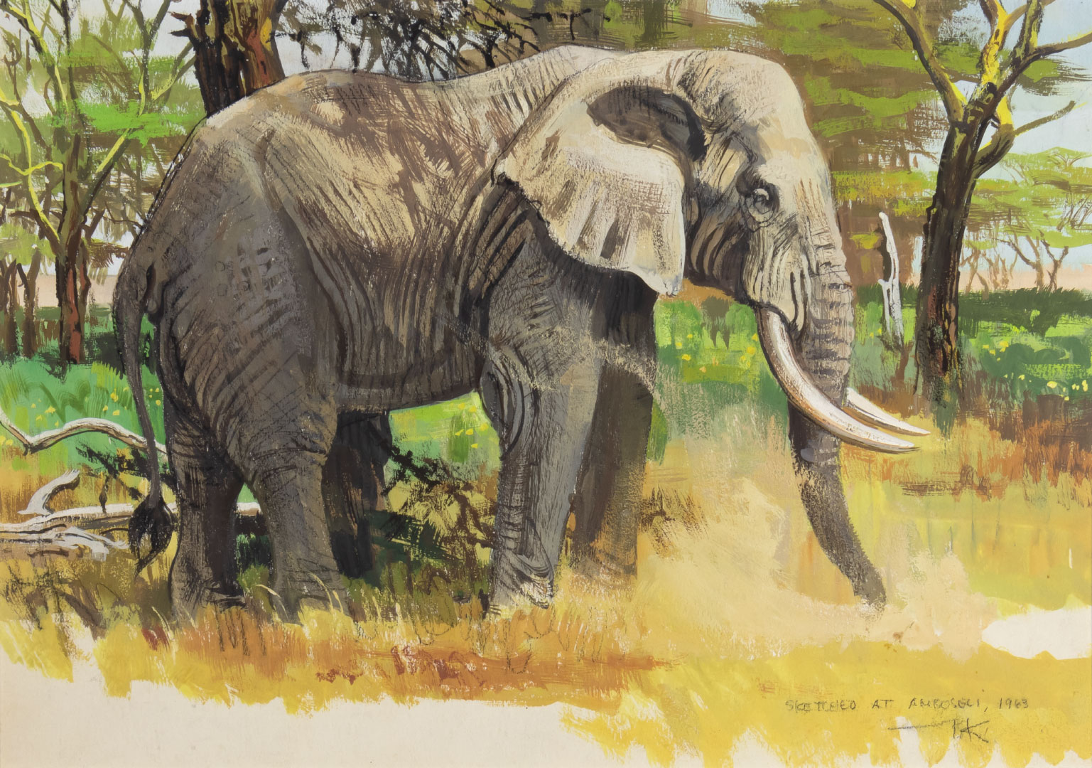 BOB KUHN (1920-2007), ELEPHANT AT