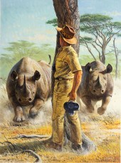 BOB KUHN (1920-2007), RHINOS,