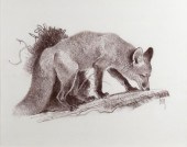 BOB KUHN (1920-2007), STUDY FO