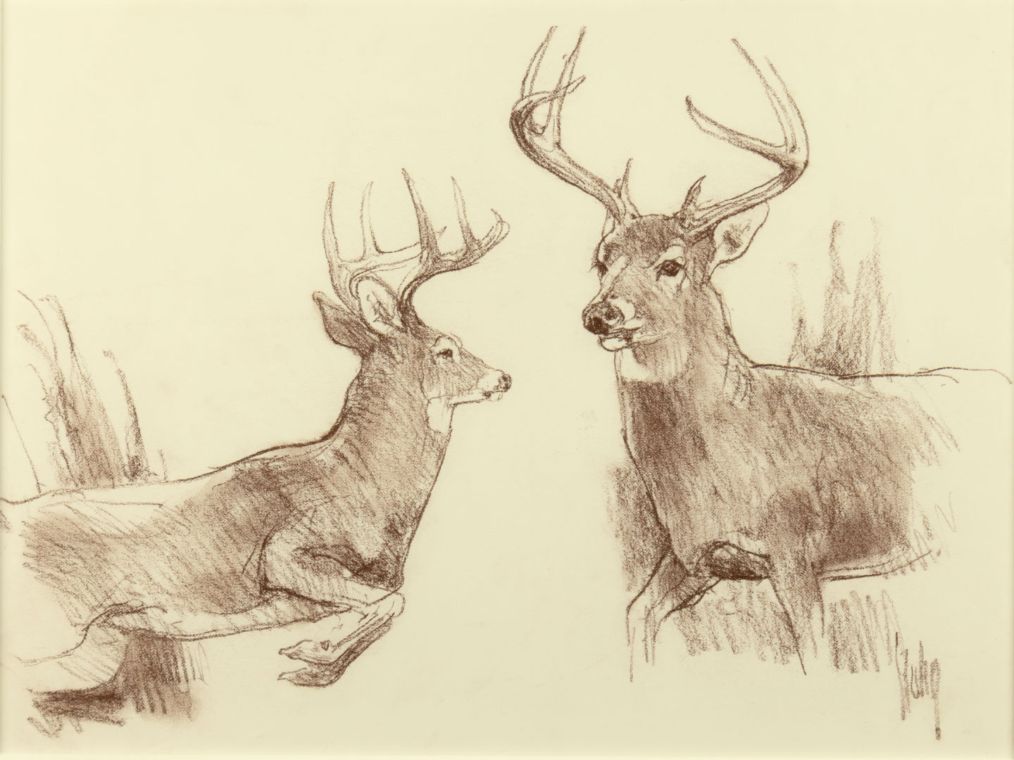 BOB KUHN (1920-2007), WHITETAIL