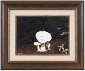 BOB TIMBERLAKE(North Carolina,