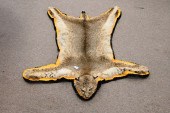 BOBCAT PELT WITH HEAD MOUNTED