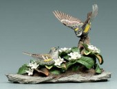 Boehm bird group: myrtle warbl