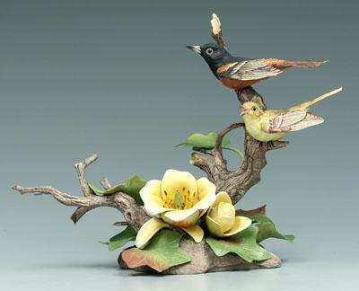 Boehm bird group: orchard orioles