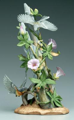 Boehm bird group, Parula