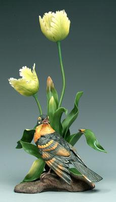 Boehm bird group, varied thrush