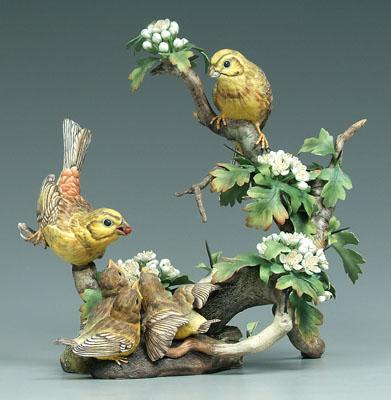 Boehm bird group: yellowhammers
