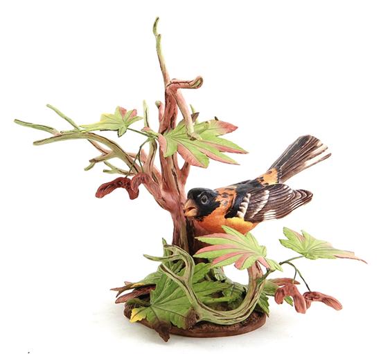 Boehm Black Headed Grosbeak