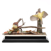 BOEHM,  CAROLINA WRENS WITH SU