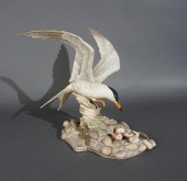 BOEHM ‘COMMON TERN’ PORCELAIN