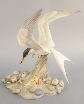 BOEHM "COMMON TERN" PORCELAIN