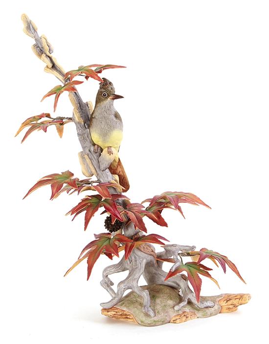 Boehm Crested Flycatcher marked