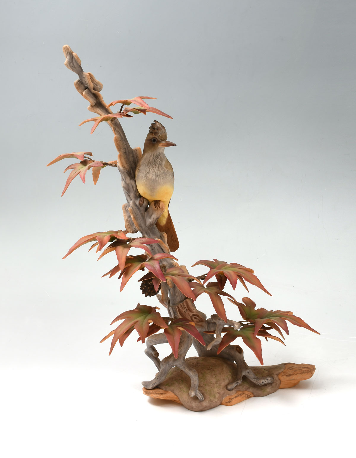 BOEHM CRESTED FLYCATCHER ON SWEET