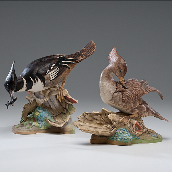 Boehm Hooded Merganser American.? A